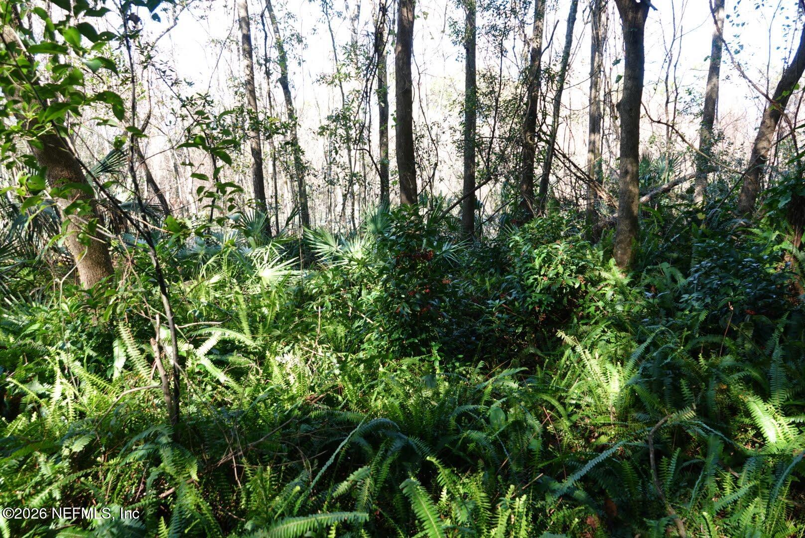 525 Raulerson Road Seville, FL 32190 - Photo 24 of 32 a backyard of a building with lots of swings