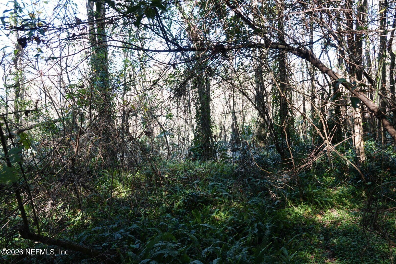 525 Raulerson Road Seville, FL 32190 - Photo 26 of 32