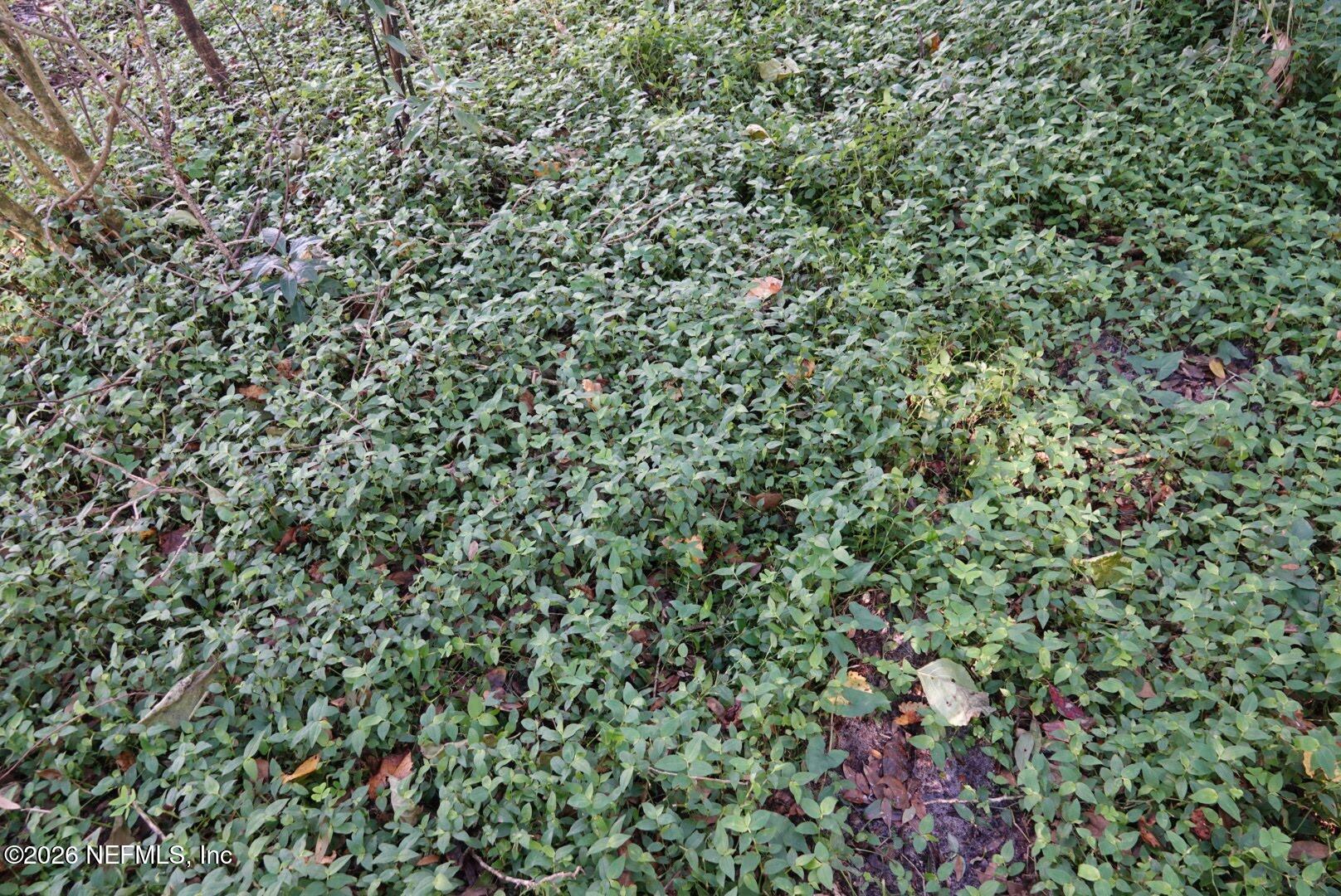 525 Raulerson Road Seville, FL 32190 - Photo 28 of 32 an outdoor view of a house