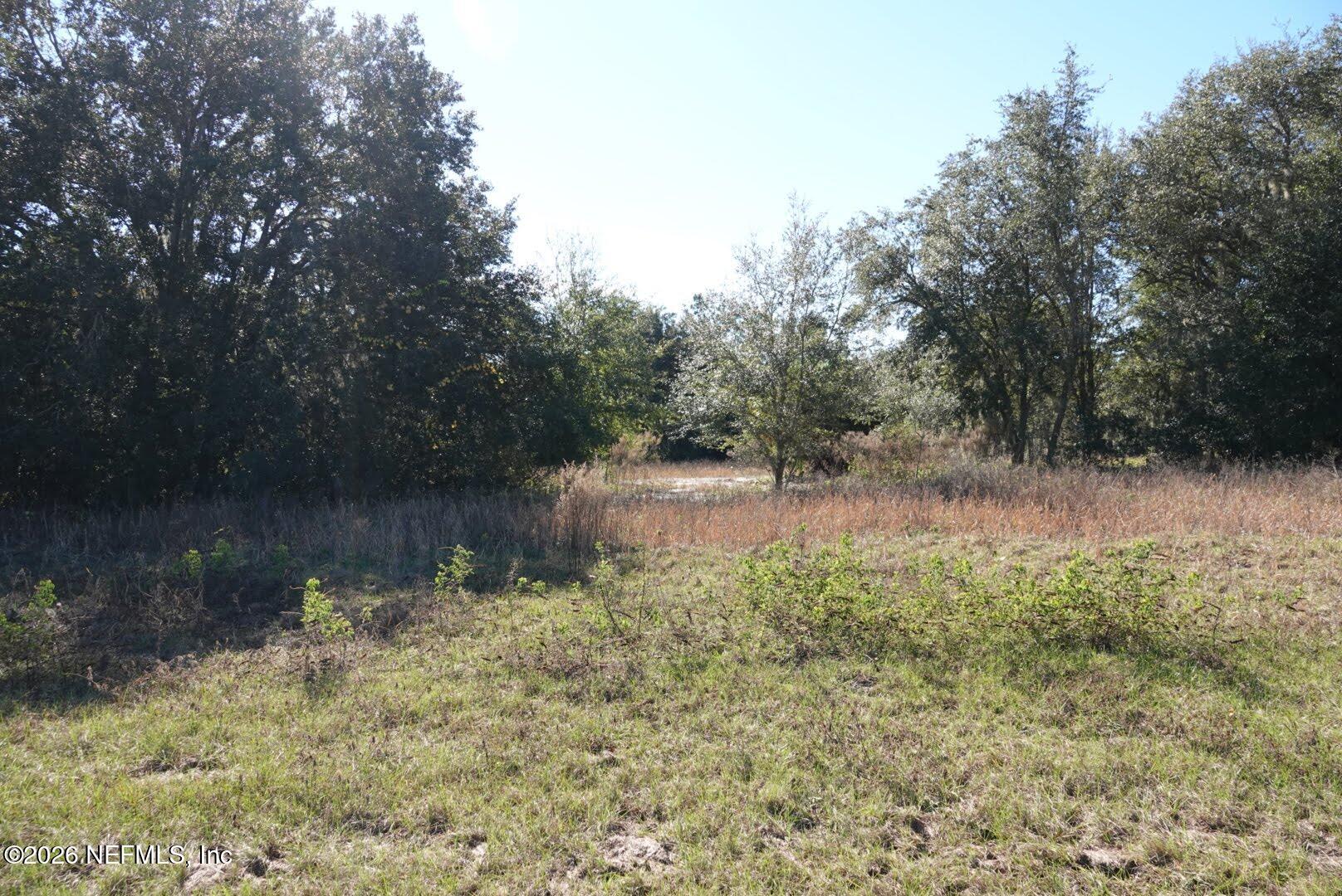 525 Raulerson Road Seville, FL 32190 - Photo 32 of 32 a view of a lake with a forest