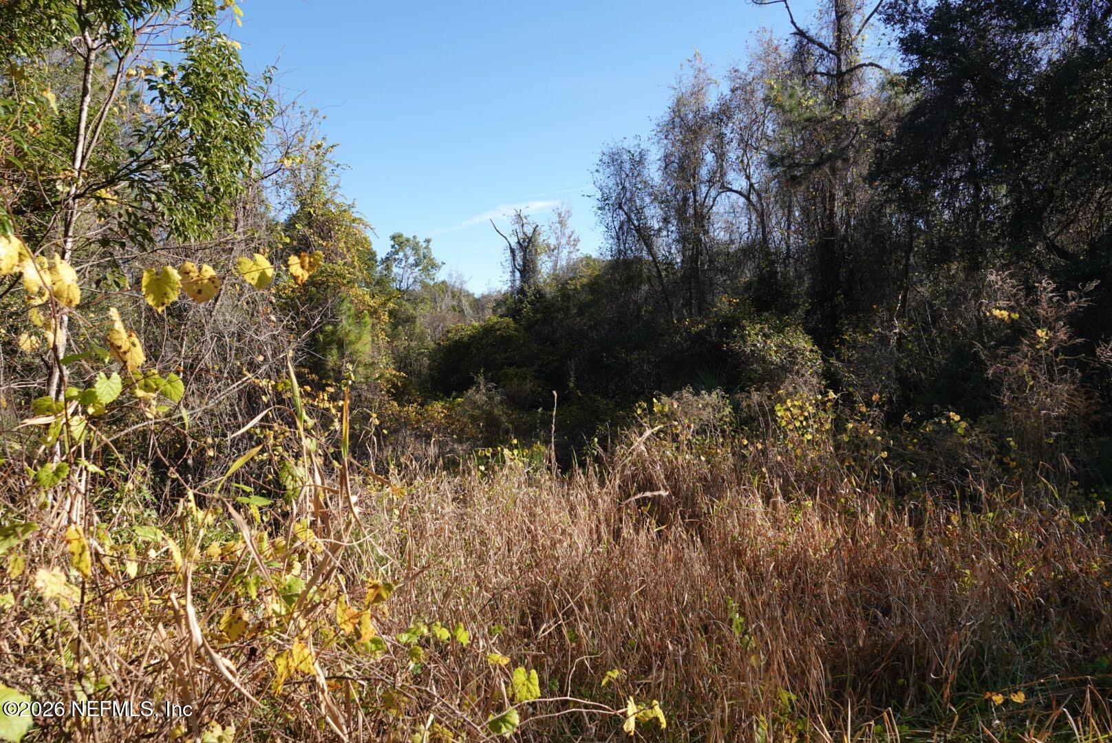 525 Raulerson Road Seville, FL 32190 - Photo 5 of 32 a view of a house with a tree