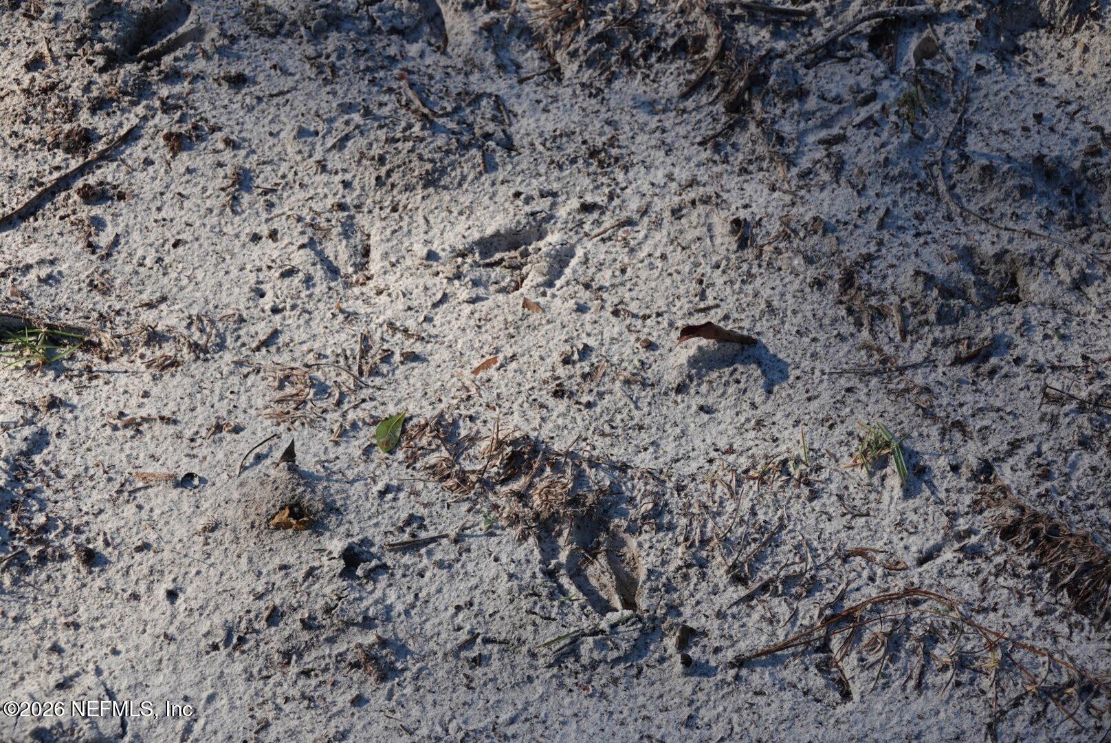 525 Raulerson Road Seville, FL 32190 - Photo 9 of 32 a view of a dry field