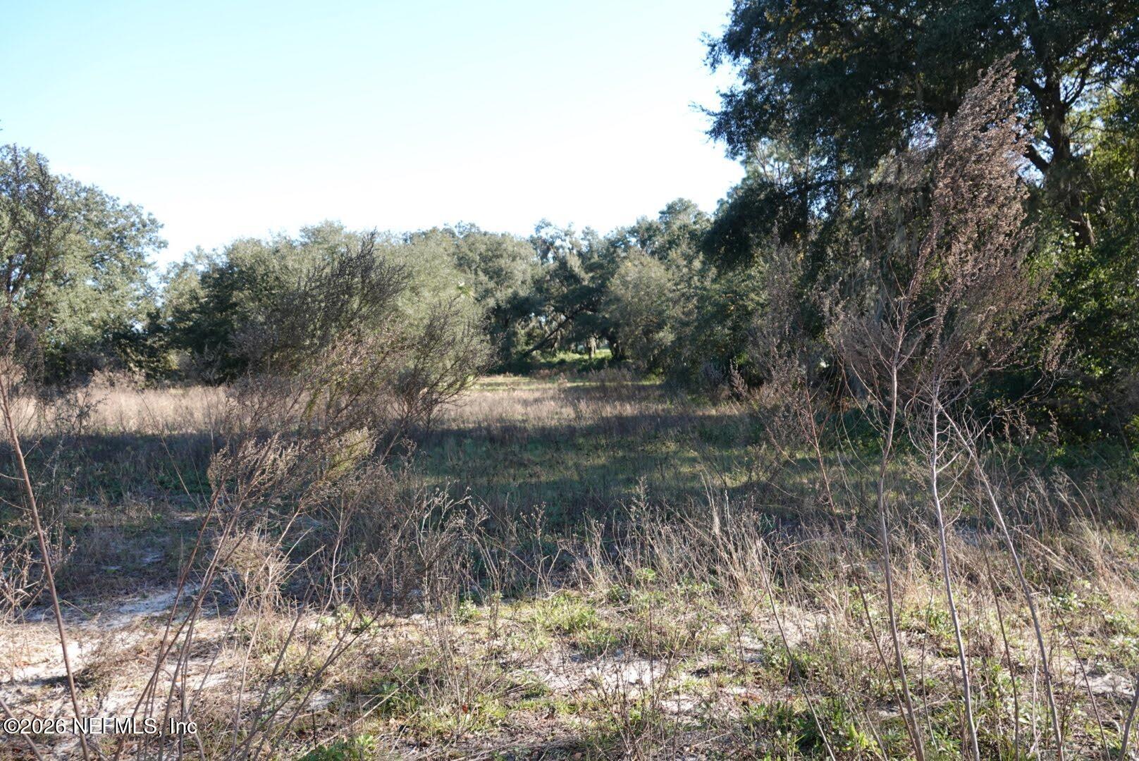 525 Raulerson Road Seville, FL 32190 - Photo 10 of 32 a view of a lake with a tree in the background