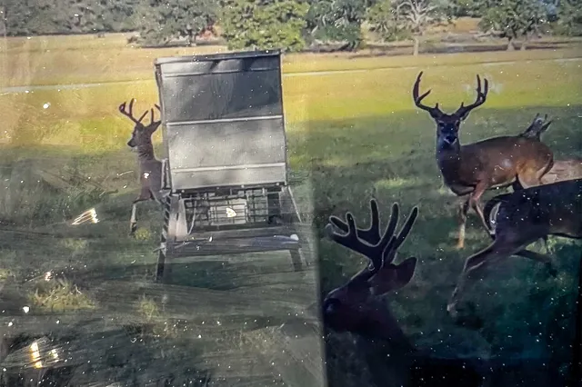 a view of a balcony with an outdoor space