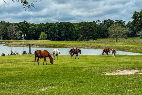 $3,299,000 | 485 Fm 230, Trinity, TX 75862