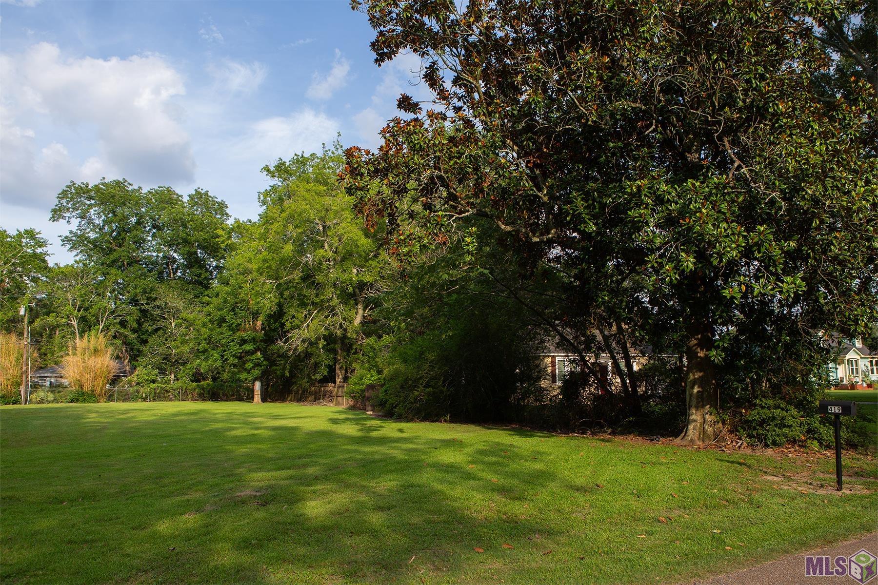 419 Croydon Avenue Baton Rouge, LA 70806 - Photo 5 of 7