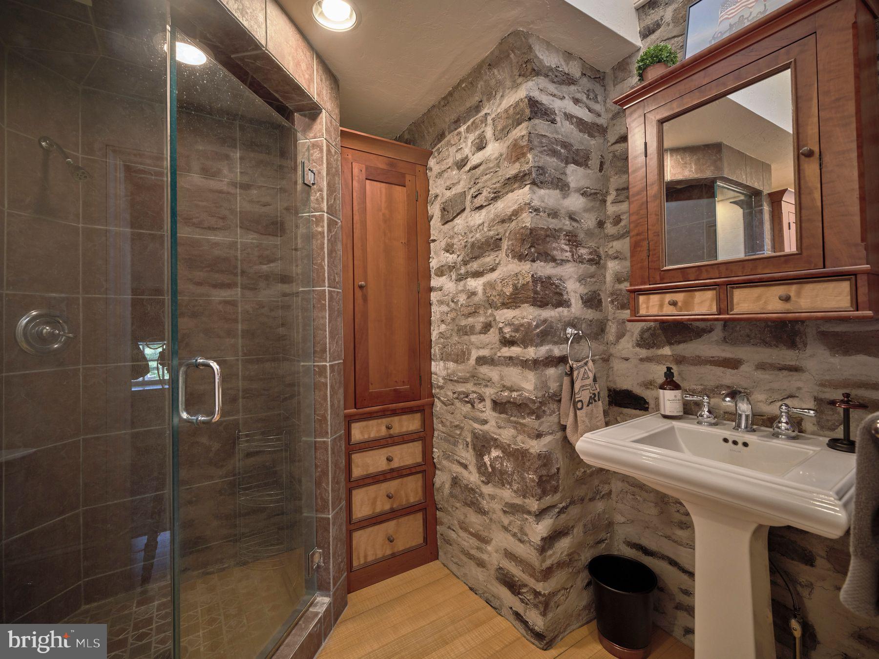 6398 Durham Road Pipersville, PA 18947 - Photo 28 of 68 a bathroom with a sink a mirror and shower