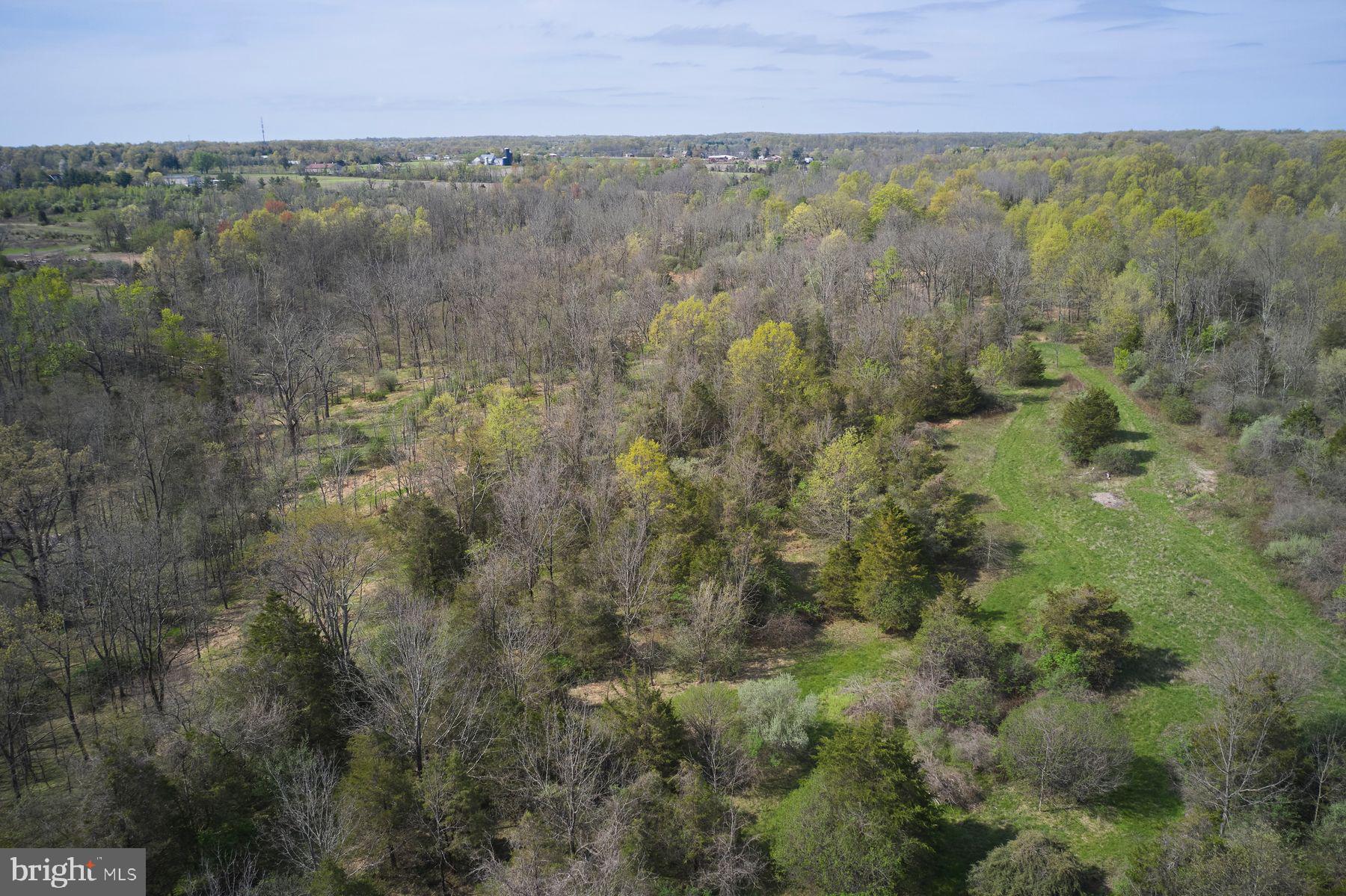 6398 Durham Road Pipersville, PA 18947 - Photo 50 of 68 a view of a city with lush green forest