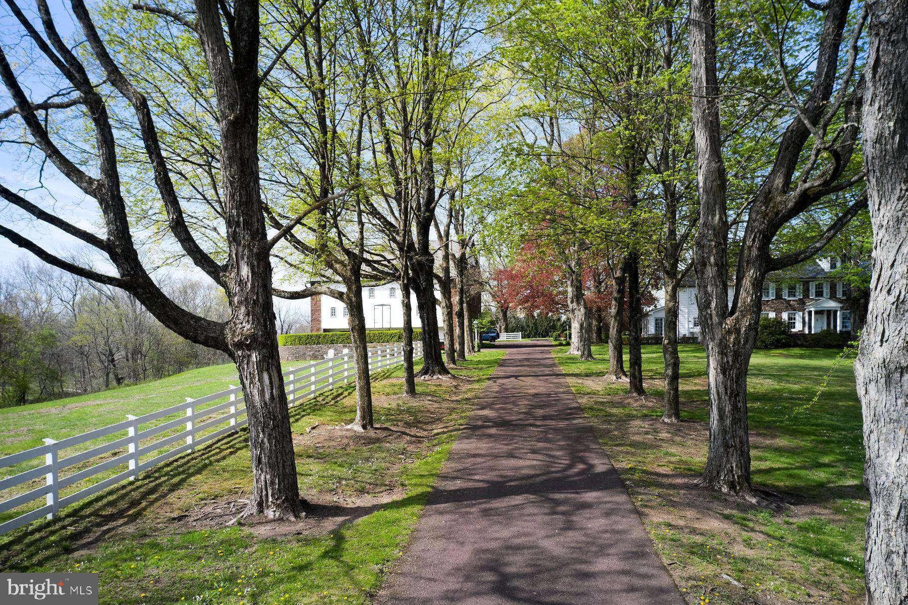 6398 Durham Road Pipersville, PA 18947 - Photo 55 of 68 a view of a park with large trees