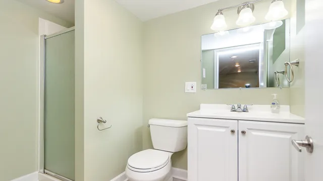 a view of a backyard with plants and large tree