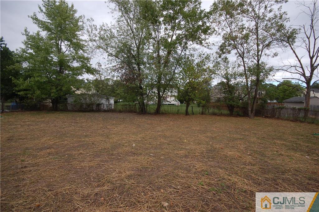 1227 Brookside Road Piscataway, NJ 08854 - Photo 20 of 22 a view of backyard with large trees
