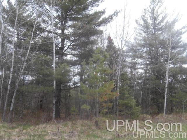 39.30-ac Armstrong Lake Road Crystal Falls, MI 49920 - Photo 18 of 24