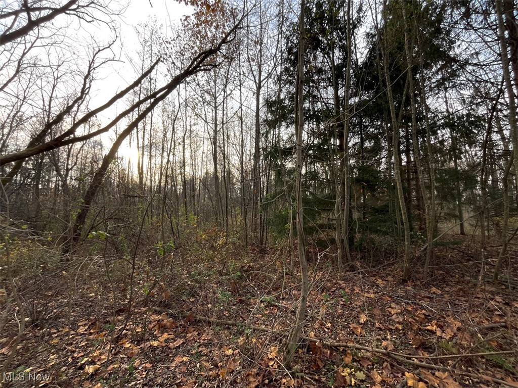 0 Harvey Circle Rittman, OH 44270 - Photo 21 of 35 View of nature