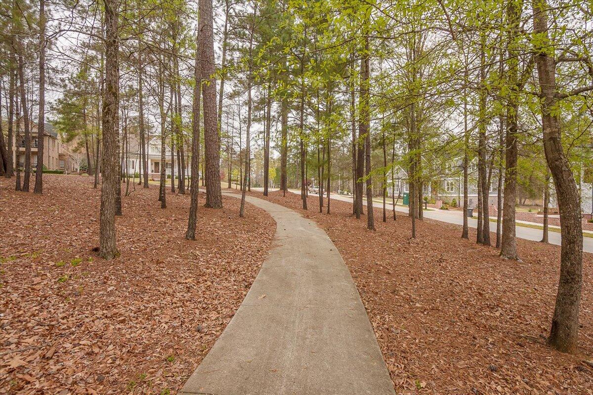 379 Sandleton Way Evans, GA 30809 - Photo 59 of 65 59-GMDM20150401_0484