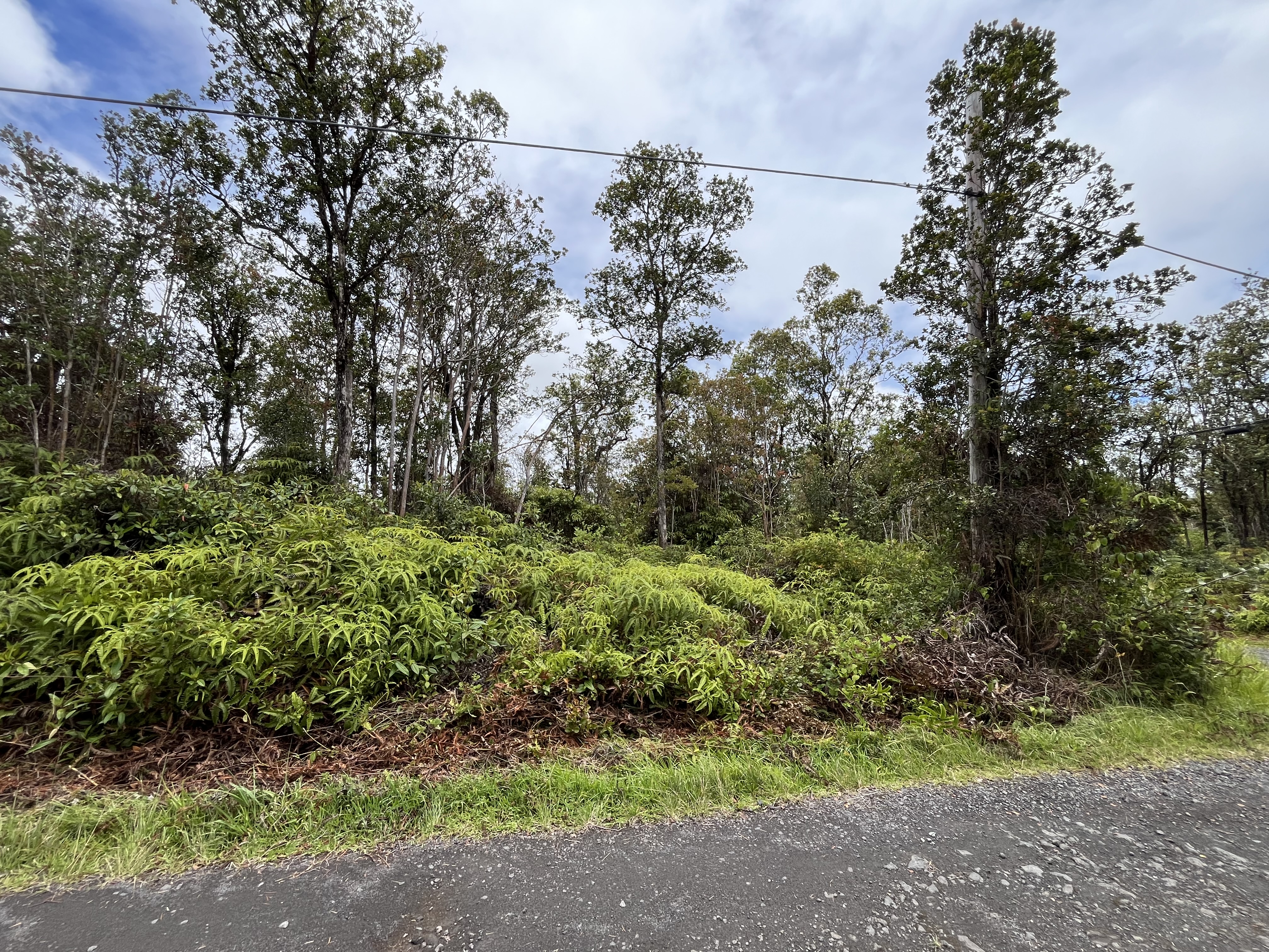 46 Ala Naulani Road Mountain View, HI 96771 - Photo 9 of 13 a view of a garden with a tree