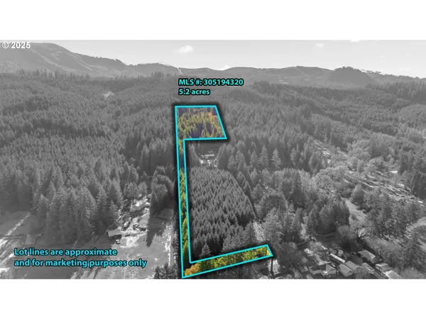 $299,000 | Wendling Road, Marcola, OR 97454