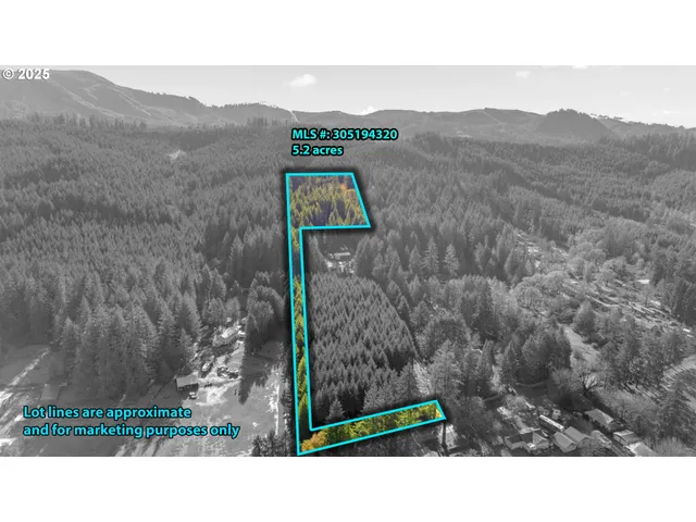 $299,000 | Wendling Road, Marcola, OR 97454