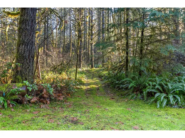 $299,000 | Wendling Road, Marcola, OR 97454