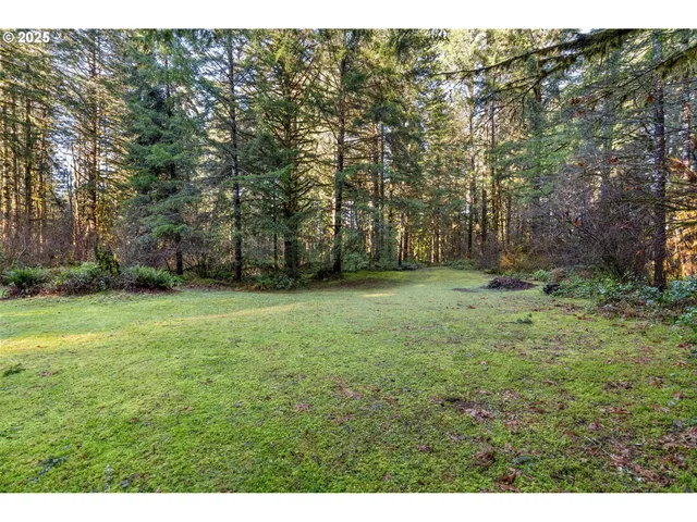 $299,000 | Wendling Road, Marcola, OR 97454