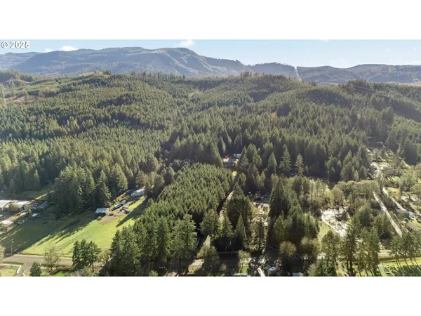 $299,000 | Wendling Road, Marcola, OR 97454