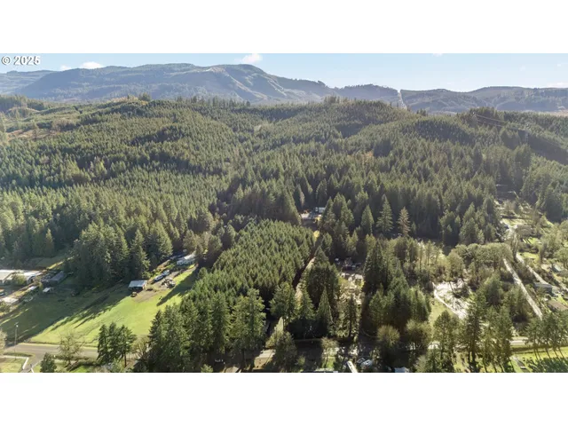 $299,000 | Wendling Road, Marcola, OR 97454