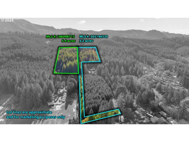 $299,000 | Wendling Road, Marcola, OR 97454