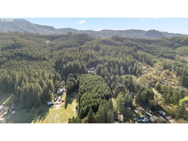 $299,000 | Wendling Road, Marcola, OR 97454