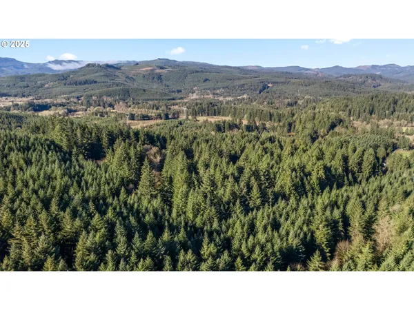 $299,000 | Wendling Road, Marcola, OR 97454
