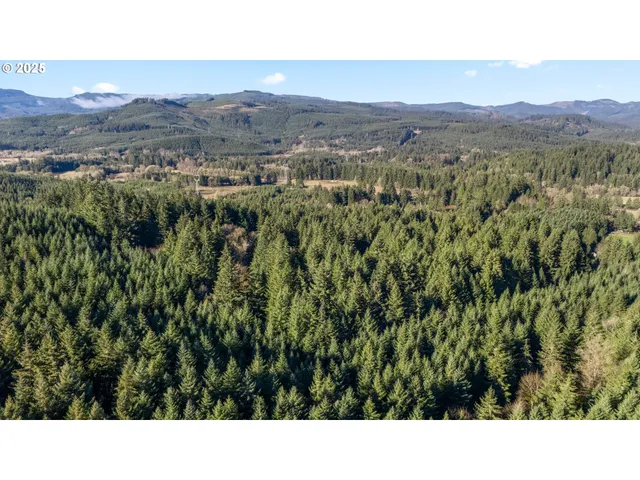 $299,000 | Wendling Road, Marcola, OR 97454