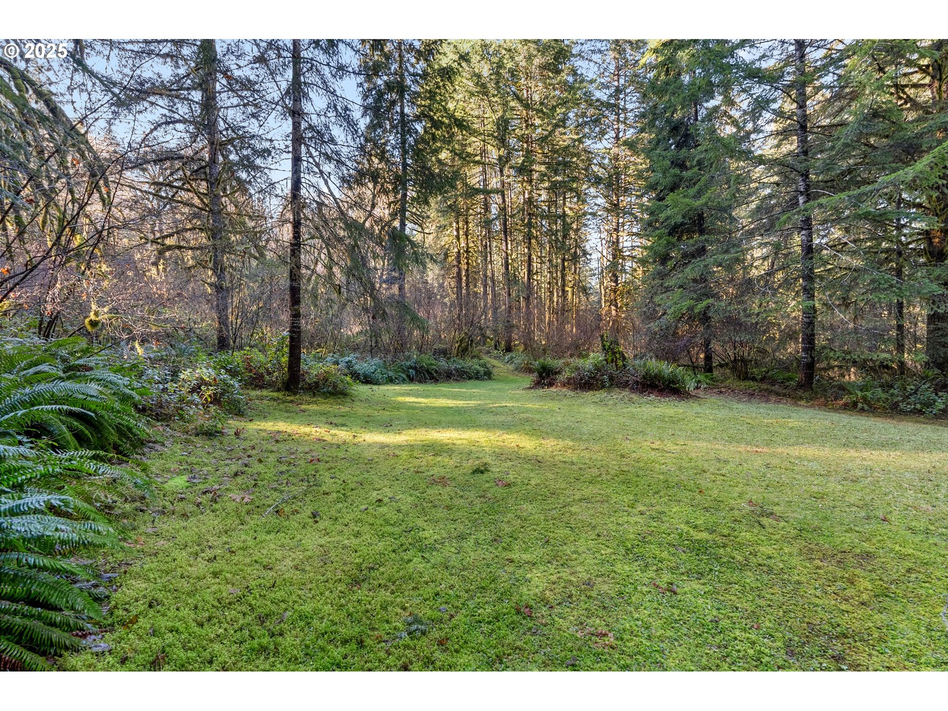 Wendling Road Marcola, OR 97454 - Photo 4 of 14