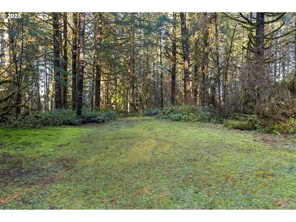$299,000 | Wendling Road, Marcola, OR 97454
