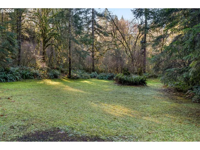 $299,000 | Wendling Road, Marcola, OR 97454