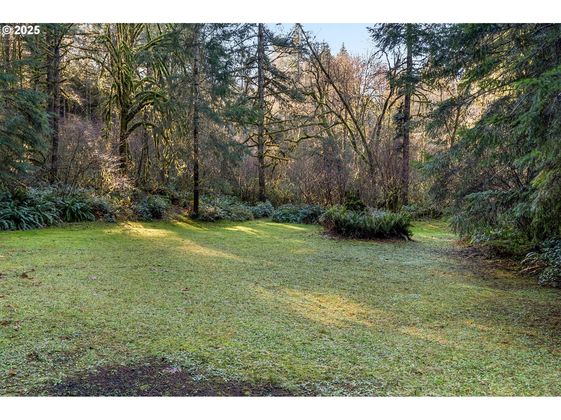 Wendling Road Marcola, OR 97454 - Photo 6 of 14