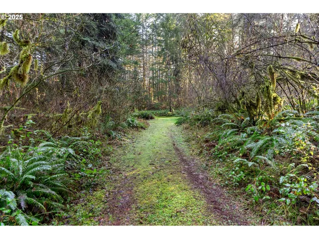 $299,000 | Wendling Road, Marcola, OR 97454