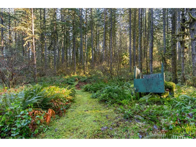$299,000 | Wendling Road, Marcola, OR 97454