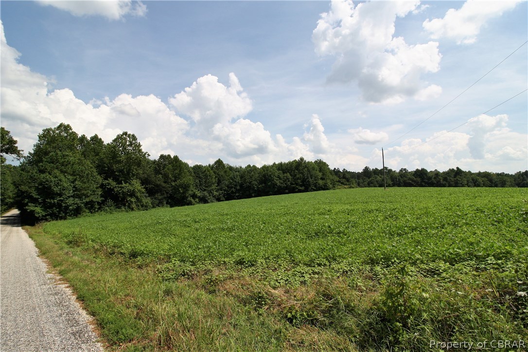 0 Jonestown Road Shacklefords, VA 23156 - Photo 3 of 4