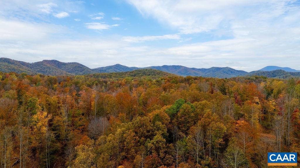 0 Adial Road Faber, VA 22938 - Photo 4 of 7 a view of lake with mountain