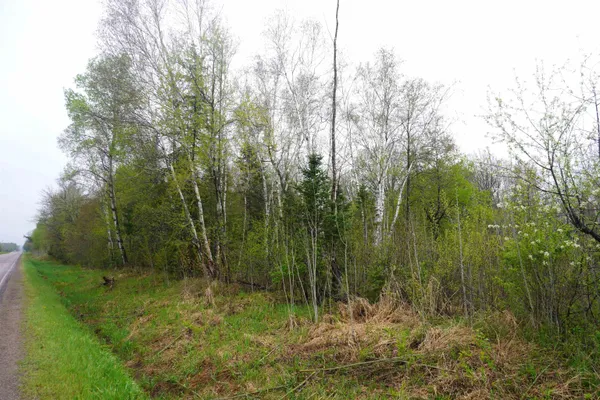 $85,000 | 20-acres North County Road X, Gleason, WI 54435