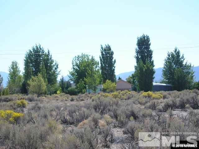 a view of a dry yard with trees