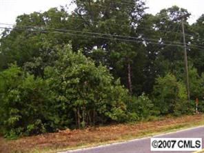a view of a yard with plants