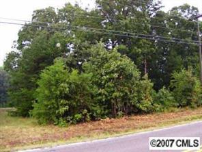 0 Mooresville Road Salisbury, NC 28147 - Photo 2 of 3 a view of a tree with a tree