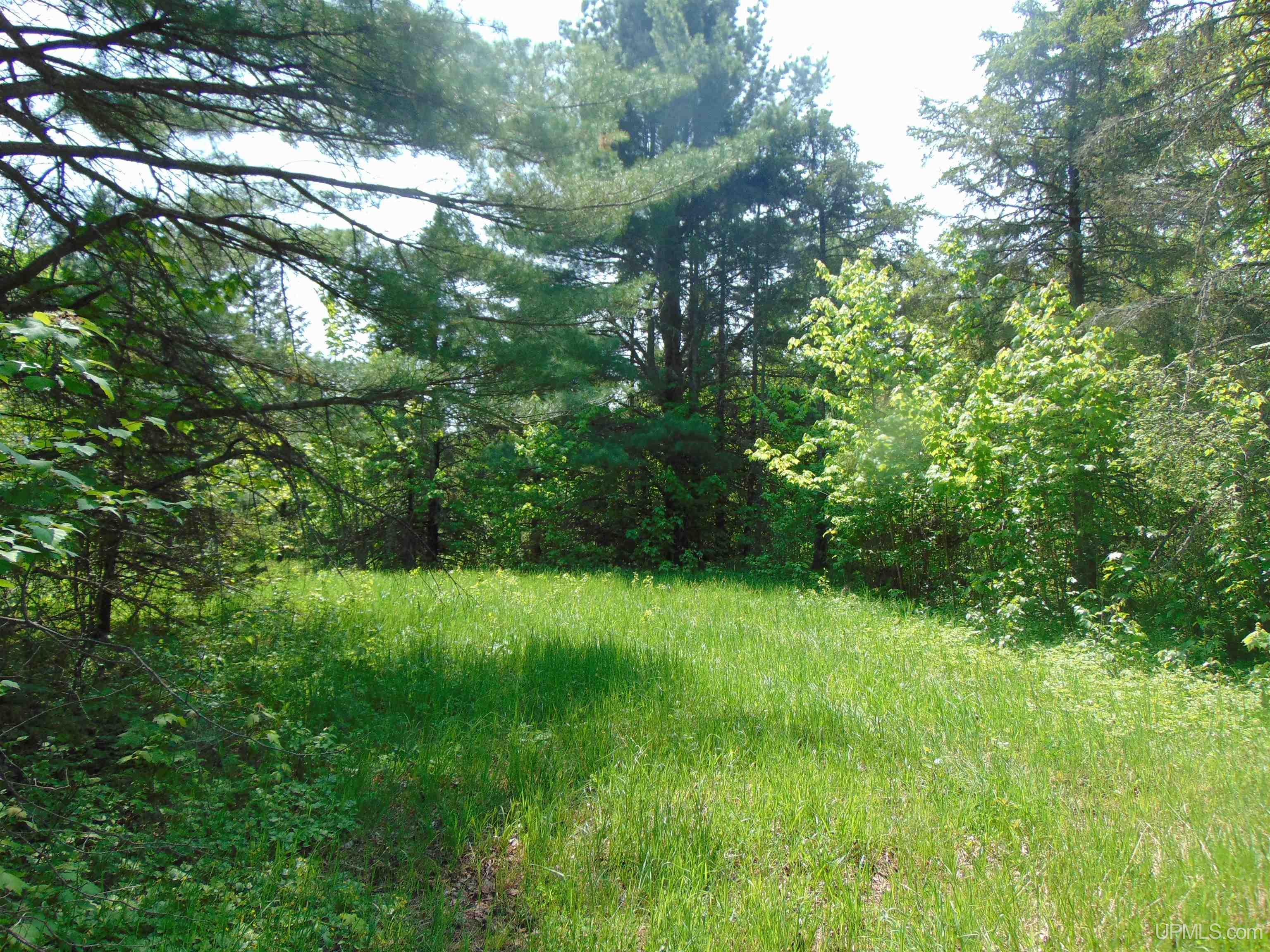 1 Larson Road Bruce Crossing, MI 49912 - Photo 17 of 34