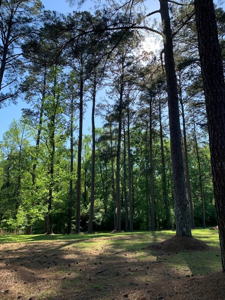 409 Roberts Road Liberty, MS 39645 - Photo 8 of 17 Photo 8