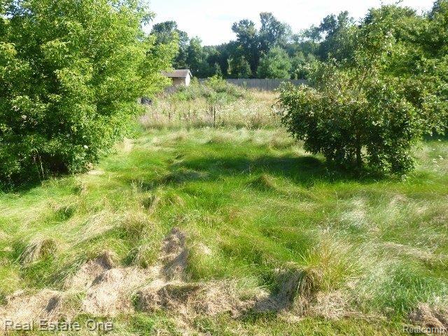 9343 West Sober Road Fowlerville, MI 48836 - Photo 30 of 41 Yard