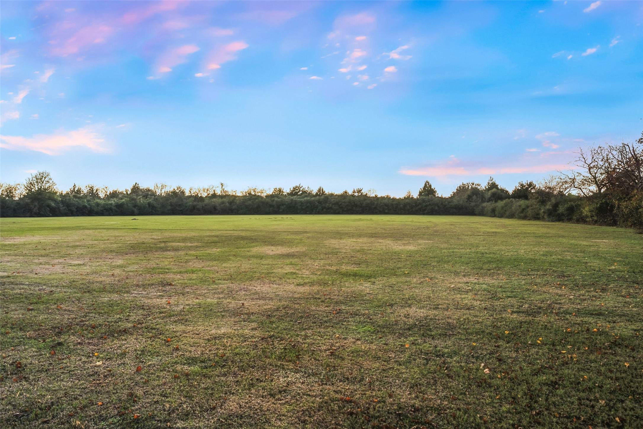 19989 Meadow Bend Road Hempstead, TX 77445 - Photo 34 of 35 Level, open pasture offers room to spread out, ideal for livestock, recreation, or future improvements.
