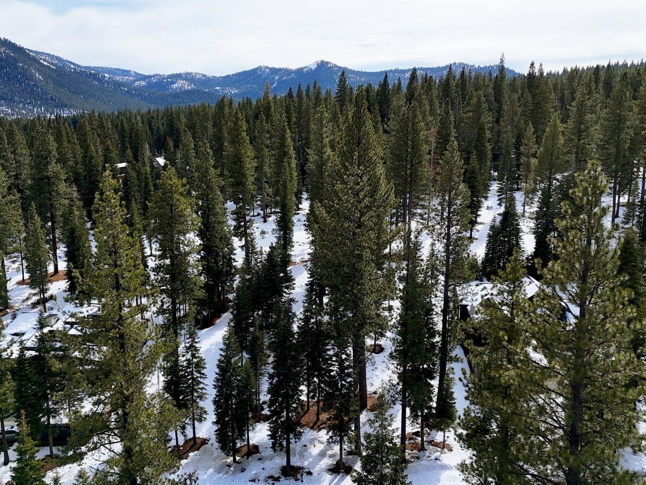10633 Carson Range Road Truckee, CA 96161 - Photo 10 of 10 a view of mountain with trees in the background