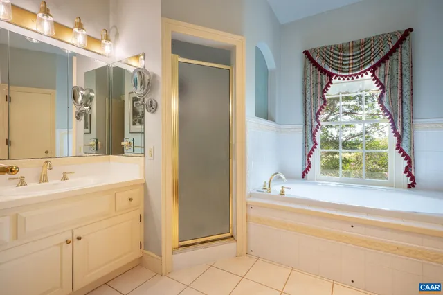 a view of a park with large trees