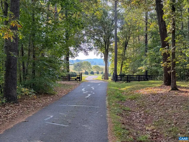 a view of a park with large trees
