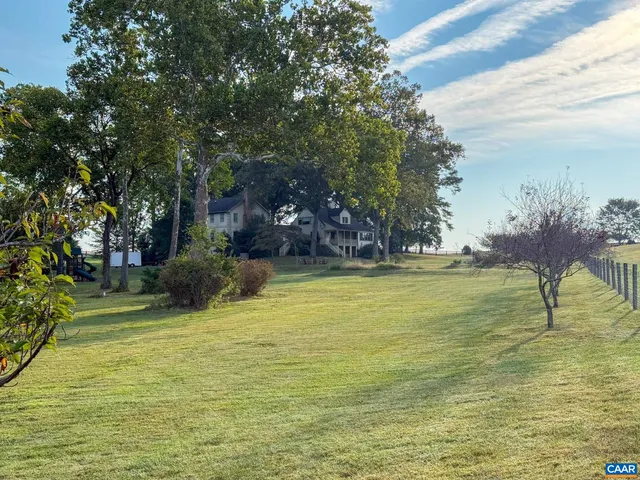 a big yard with palm trees