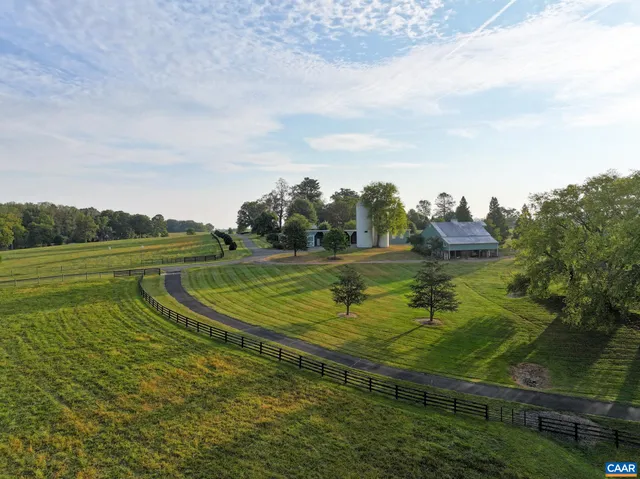 a view of a forest with trees in the background